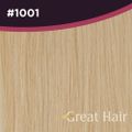 Great Hair Extensions Weft #1001 50cm