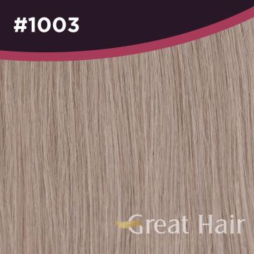 Great Hair Extensions Kleursample #1003
