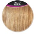 Great Hair Extensions Weft #DB2 50cm