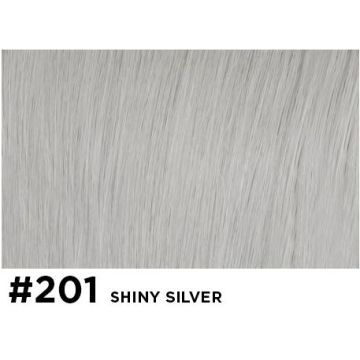 Double True Kleurstaal 201 Shiny Silver